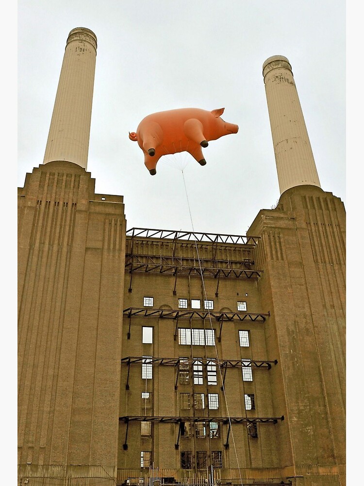 100 FM The Pike. The Lost Guitar Solo From Pink Floyd's Animals. Pink Floyd's Animals came out this week back in 1977. The Floyd album where Roger Waters dominance of the group 100 FM The Pike. The Lost Guitar Solo From Pink Floyd's Animals. Pink Floyd's Animals came out this week back in 1977. The Floyd album where Roger Waters dominance of the group